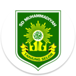 Logo SDM Tjs